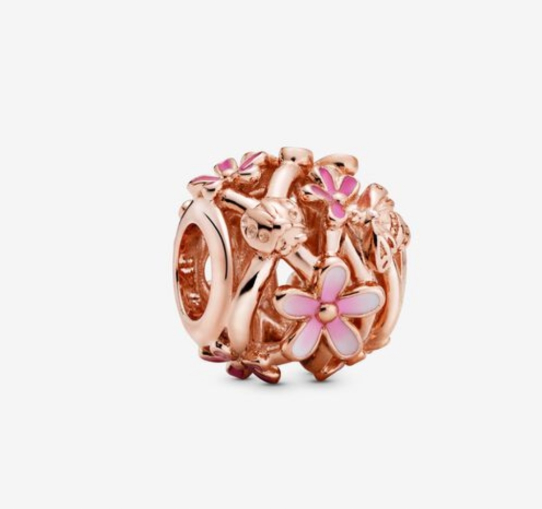 Kúzla momenty Pink Openwork St Al-A Pandora Camera