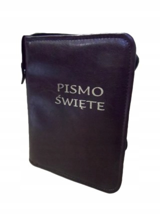 Sint Large EP Case - Bordo - 58160