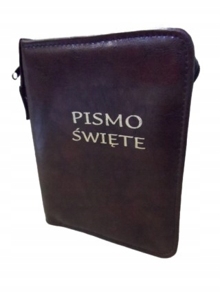 Sint Large EP Case - Bronze - 58159