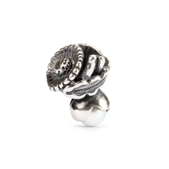 Trollbeads Bead, Daisy z apríla