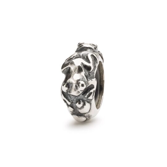 Trollbeads Bead, Evolution Walking