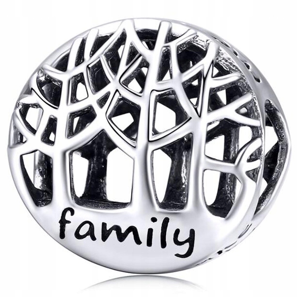 Korálky pre rodokmeň Pandora Silver 925