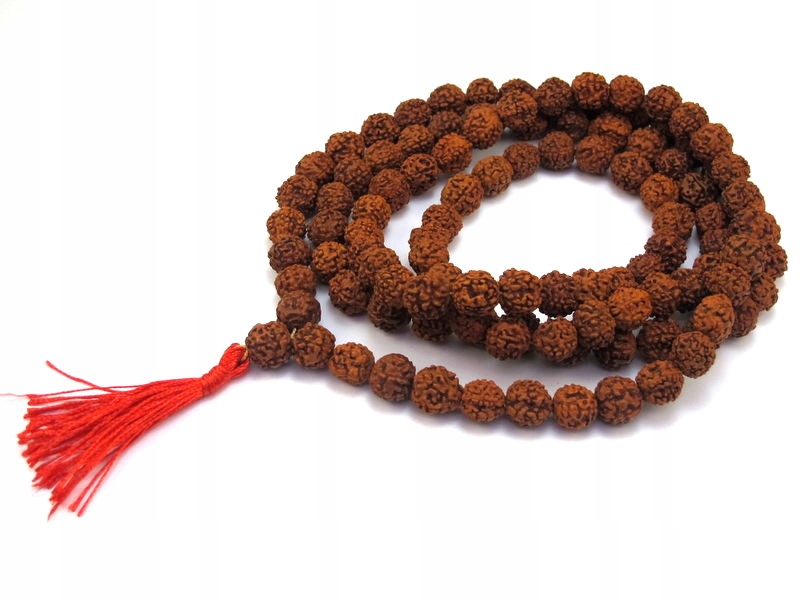 Malé budhistické semená Rudraksha [S061]