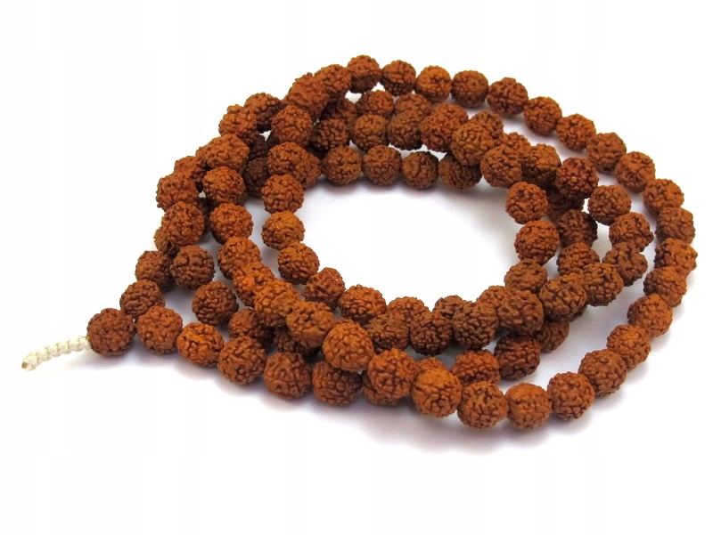 Malé budhistické semená Rudraksha [S062]