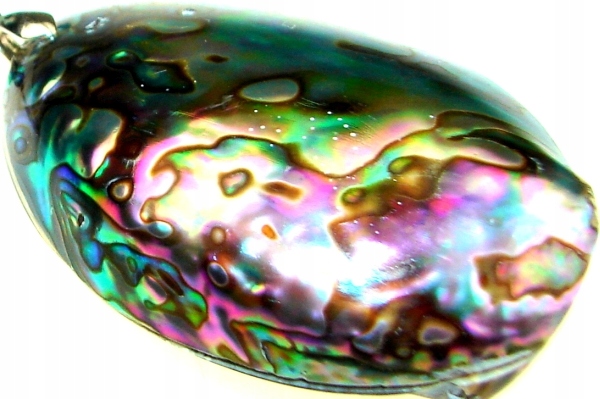 Náhrdelník Morskie Opal Paua Shell - Talisman