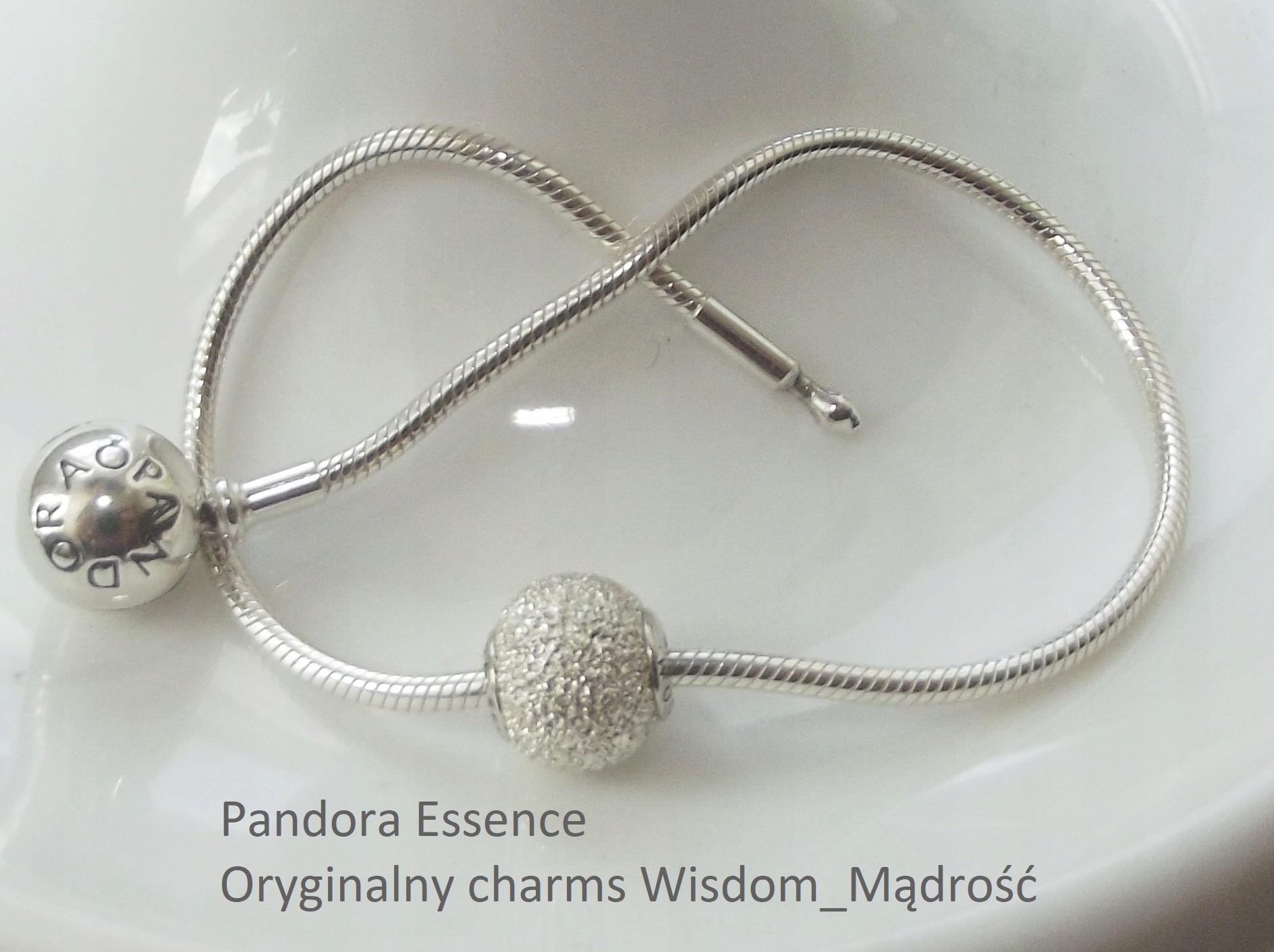 PANDORA Essence Originálne nové prívesky WISDOM