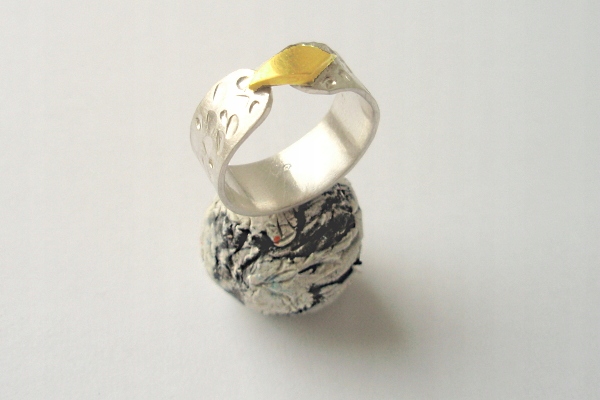 STRIEBORNÝ KRÚŽOK s mosadzou, s = 8 mm