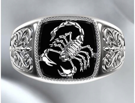 Scorpion B Punk Skull Rock Rock