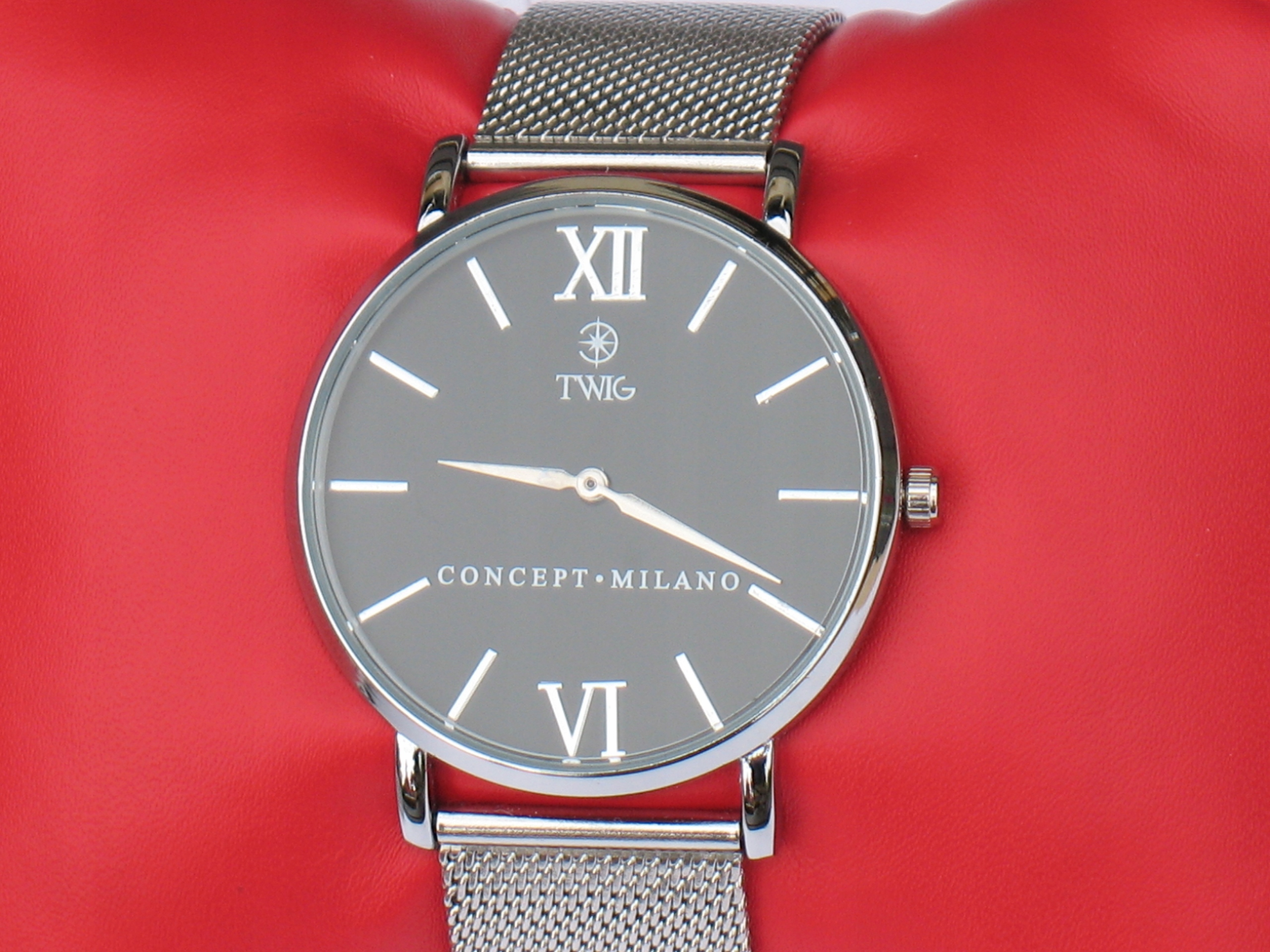 Pánské hodinky - Twig Concept Quartz Watch
